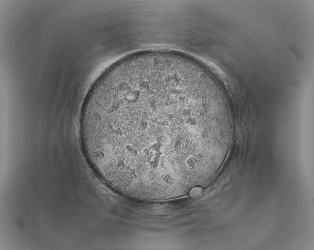 X0000112111279200908251203