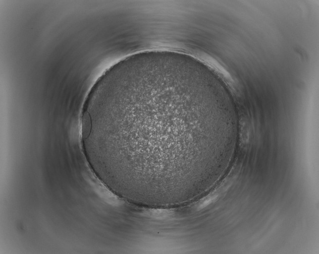 X0000112111280200908251203