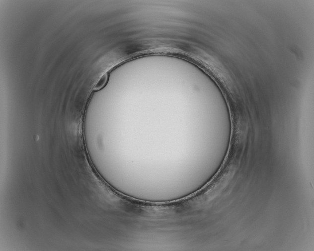 X0000112111281200908251203