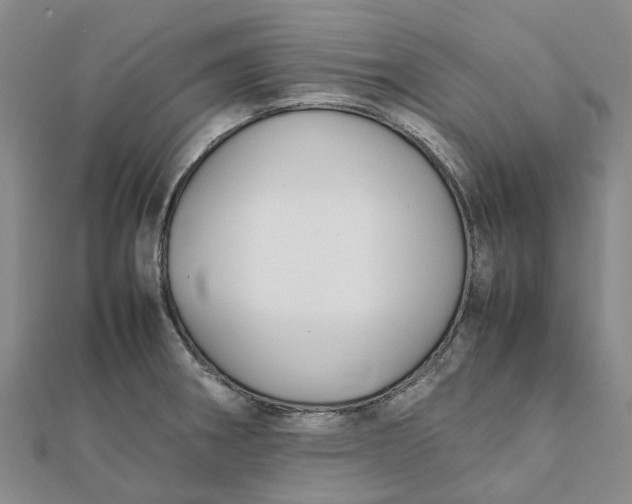 X0000112111282200908251203