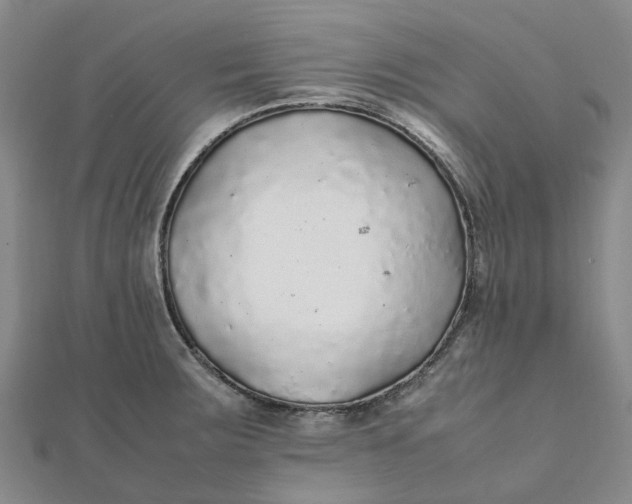 X0000112111283200908251203