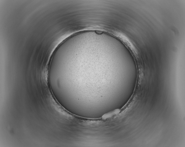 X0000112111284200908251203