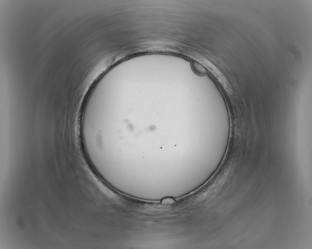 X0000112111285200908251203