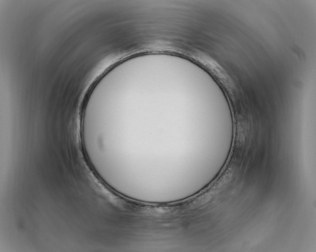 X0000112111286200908251203