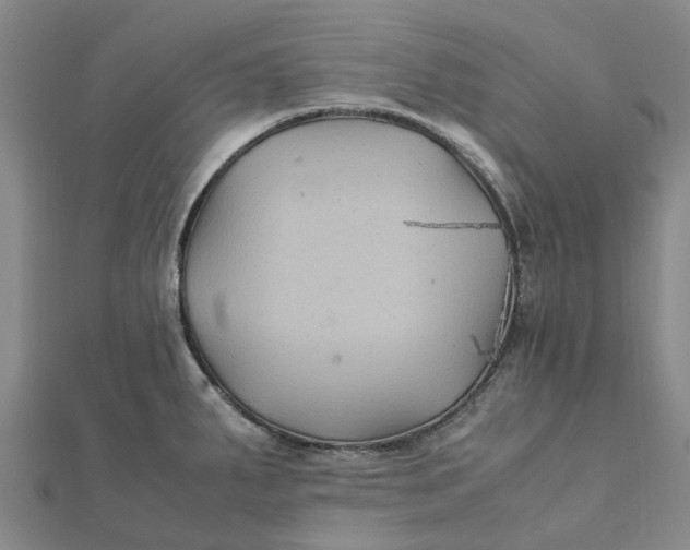 X0000112111287200908251203