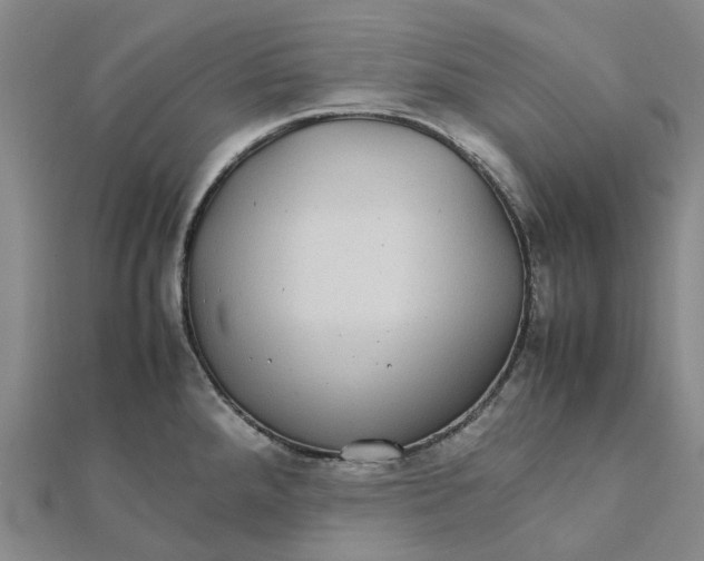 X0000112111288200908251203