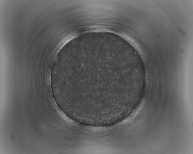 X0000112111289200908251203