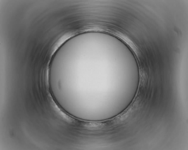 X0000112111290200908251203