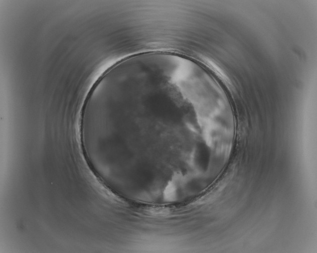 X0000112111291200908251203