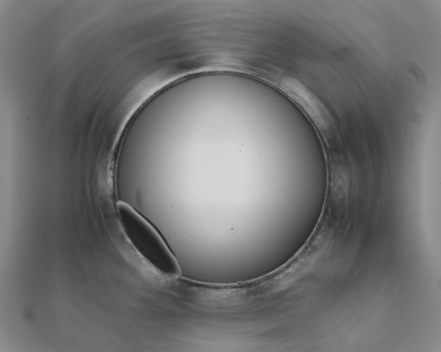 X0000112111292200908251203