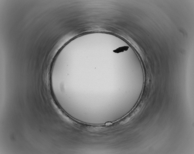 X0000112111293200908251203