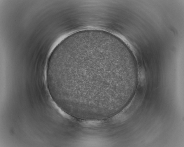 X0000112111294200908251203