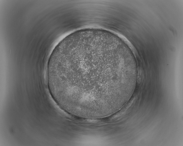 X0000112111295200908251203