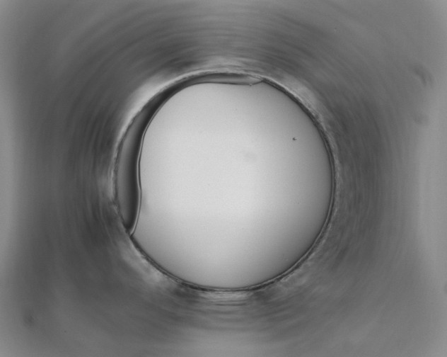 X0000112111296200908251203