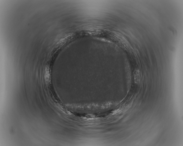 X0000112111298200908251202