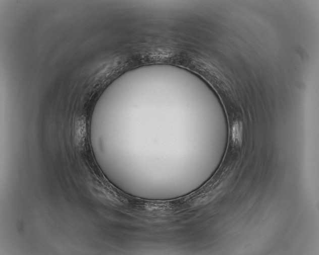 X0000112111299200908251202