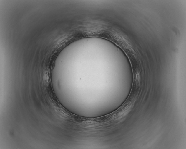 X0000112111300200908251202