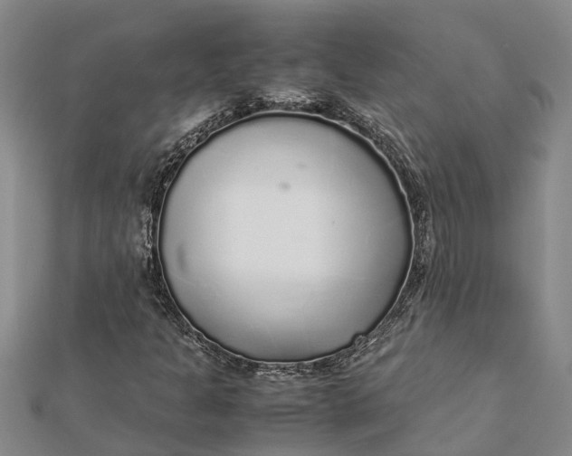 X0000112111301200908251203