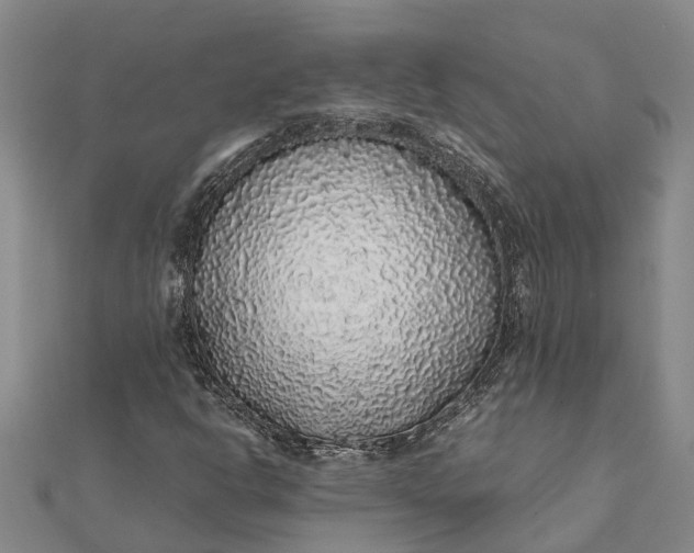 X0000112111302200908251203