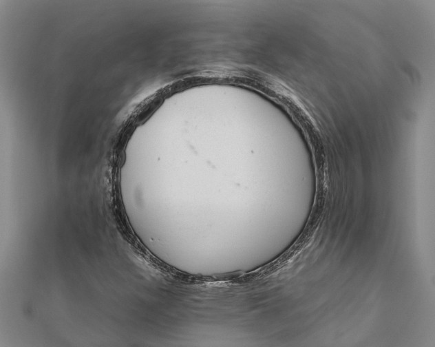 X0000112111304200908251203