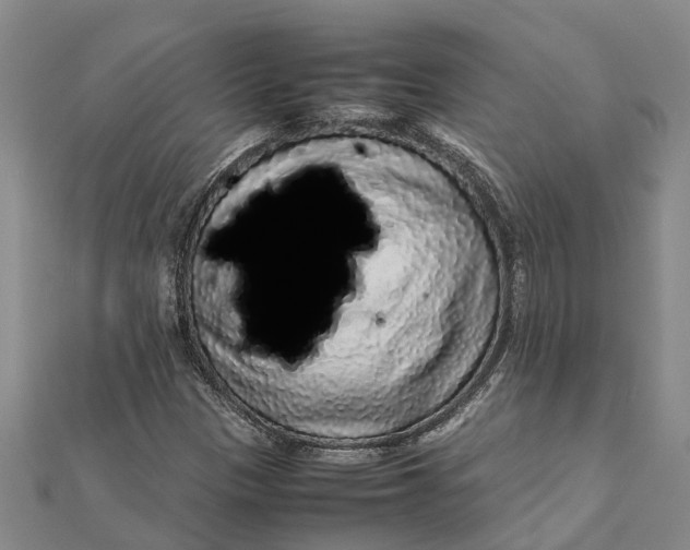 X0000112111305200908251203