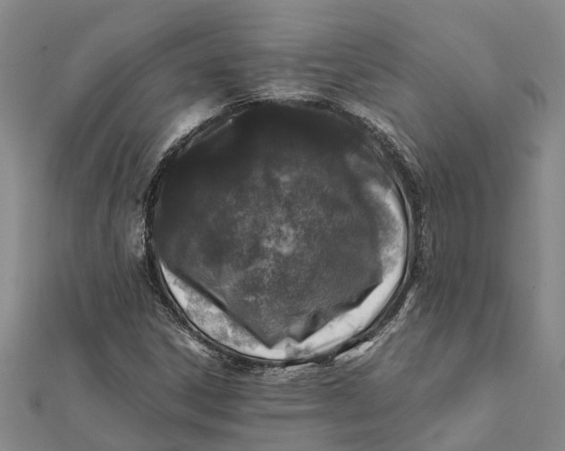 X0000112111306200908251203