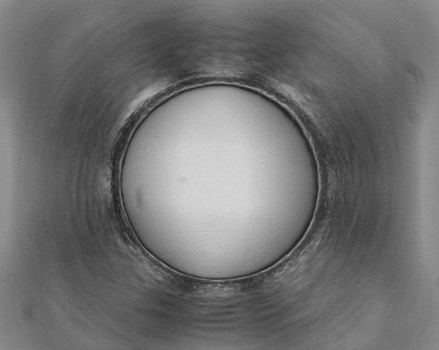 X0000112111307200908251203