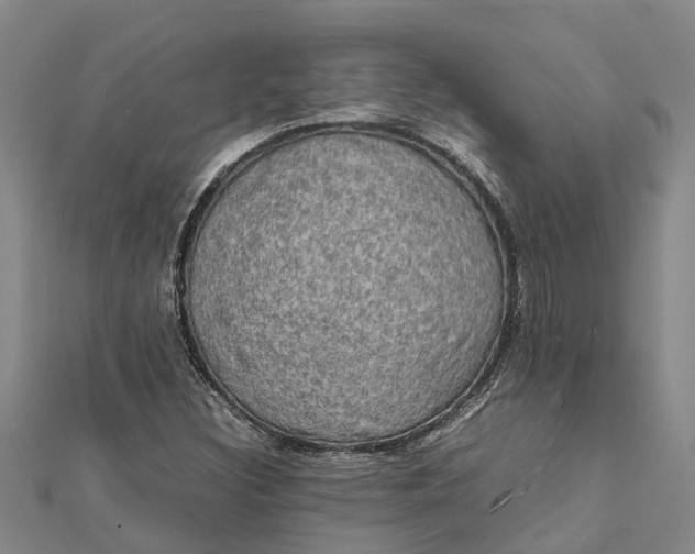 X0000112111308200908251203