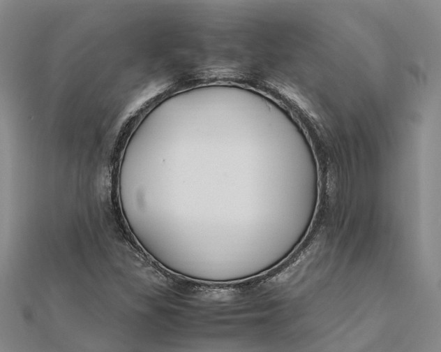 X0000112111309200908251203