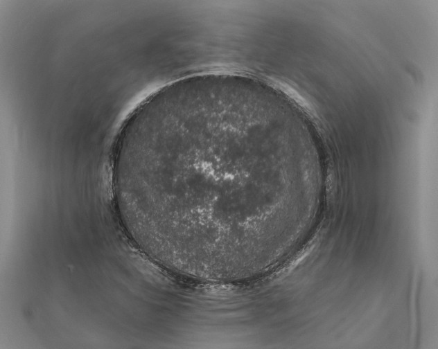 X0000112111310200908251203