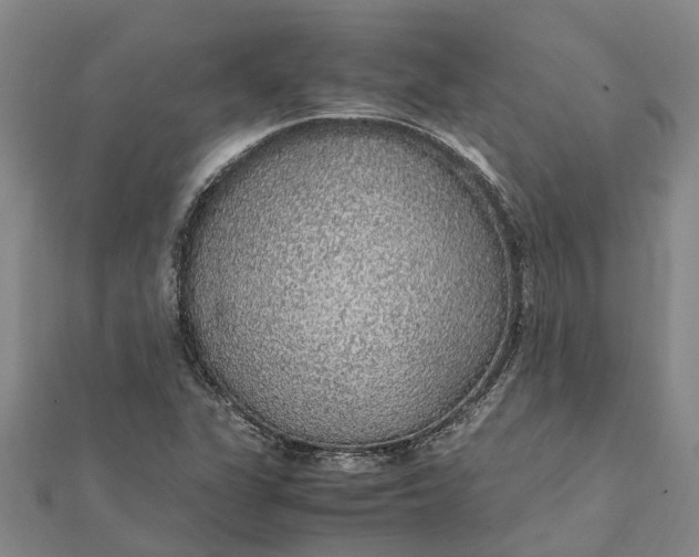 X0000112111311200908251203