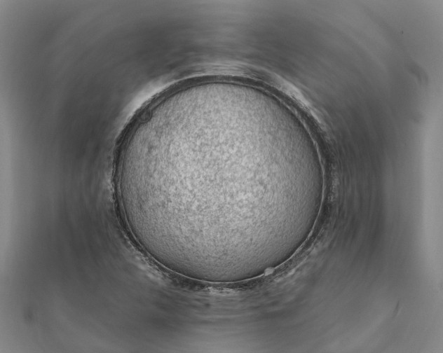 X0000112111312200908251203