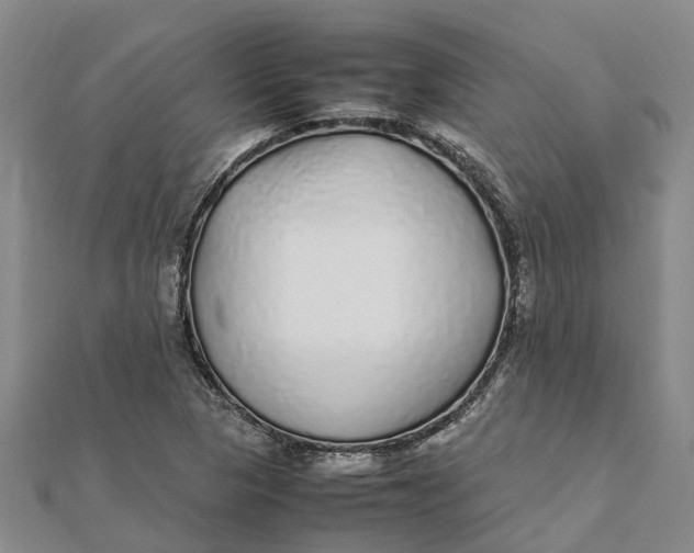 X0000112111313200908251203