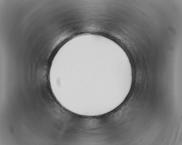 X0000112111314200908251203