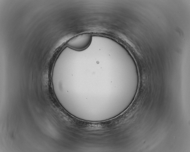 X0000112111315200908251203