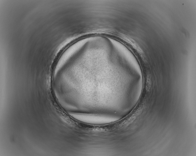 X0000112111316200908251203