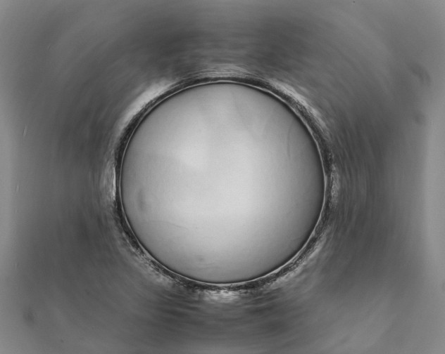 X0000112111317200908251203