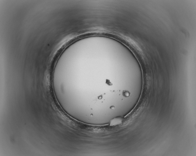 X0000112111318200908251203