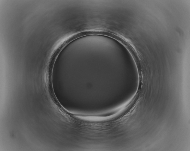 X0000112111319200908251203