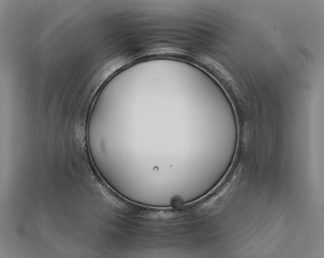 X0000112111321200908251203