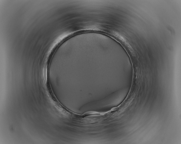 X0000112111323200908251203