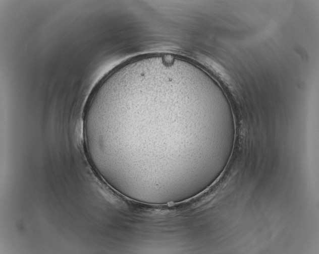 X0000112111324200908251203