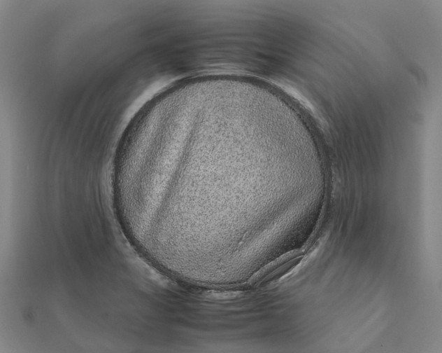 X0000112111325200908251203