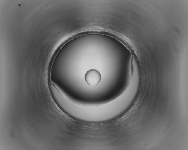 X0000112111326200908251203