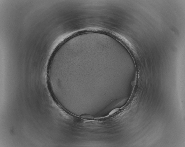 X0000112111327200908251203