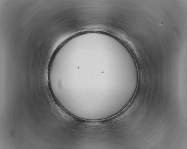 X0000112111328200908251203