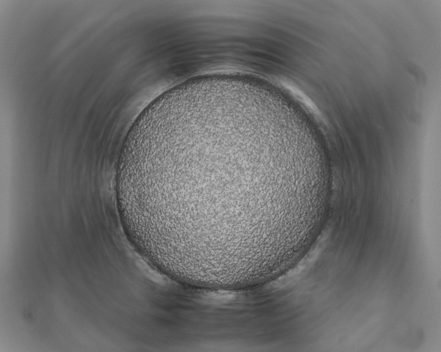 X0000112111329200908251203