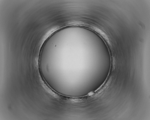 X0000112111330200908251203