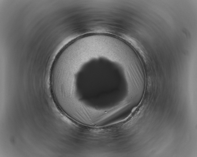 X0000112111331200908251203