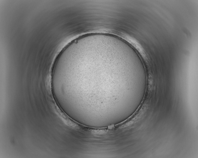 X0000112111332200908251203